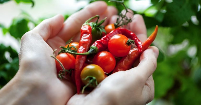 Chili pepper consumption could help people live longer, says American Heart Association – Fox News