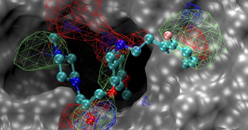 Promising New Drug Compounds Identified to Potentially Treat Viruses Like COVID-19, Flu & Ebola – SciTechDaily