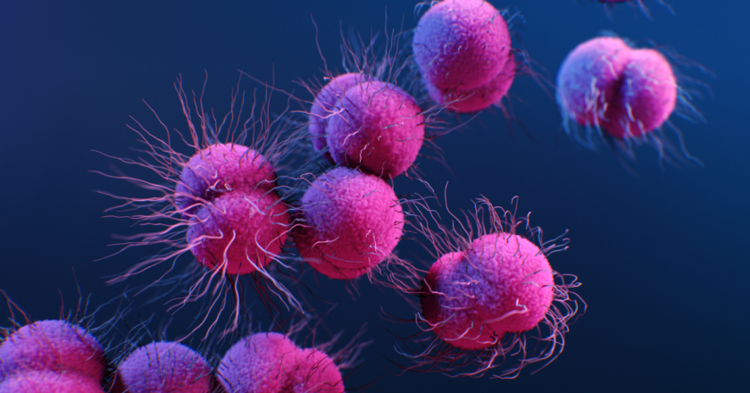 Yes, Super Gonorrhea Is Real and Its Gonna Get Worse – Gizmodo