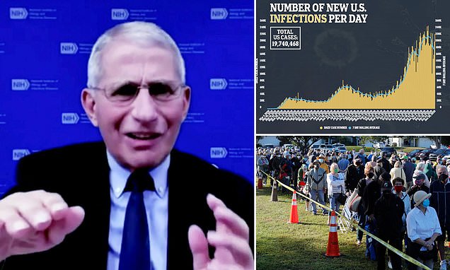 Dr Anthony Fauci says life will return to normal by fall of 2021 if vaccines distribution speeds up – Daily Mail