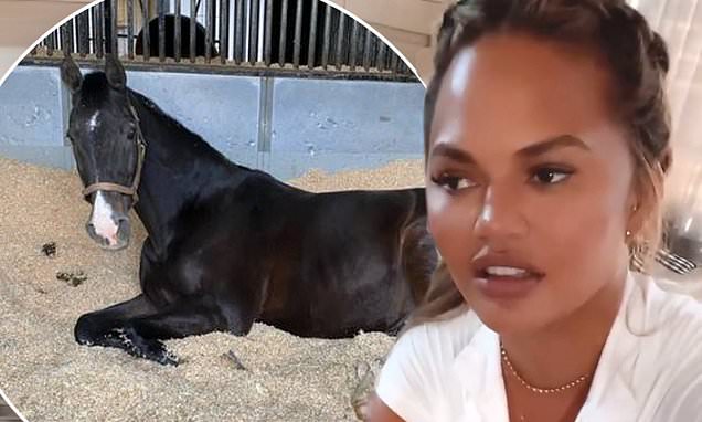 Chrissy Teigen defends herself on social media after user who suggested her tweet was tone-deaf – Daily Mail