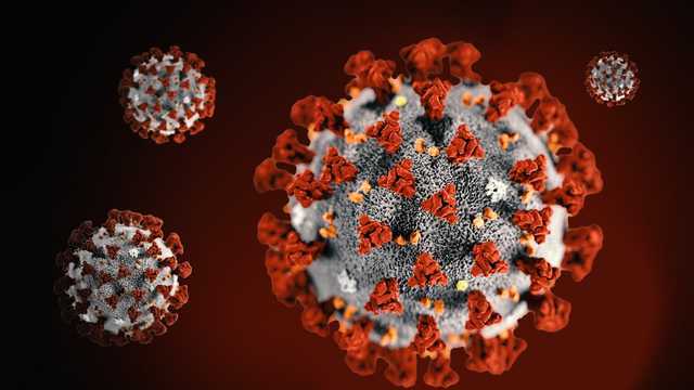 Maine CDC reports 4 new coronavirus deaths, 324 new cases – WMTW Portland