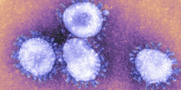 Coronavirus variants: What they do and how worried you should be – Ars Technica