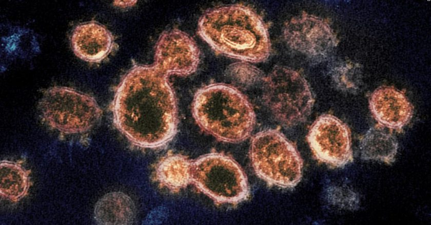 The US can defeat coronavirus variants with the right tools, White House adviser says – CNN