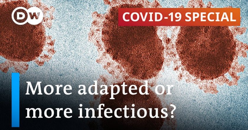 Study: More children infected than anticipated | COVID-19 Special – DW News