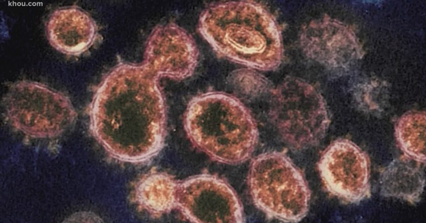 Nueces County reports first case of new COVID-19 variant first found in the United Kingdom – KIIITV.com