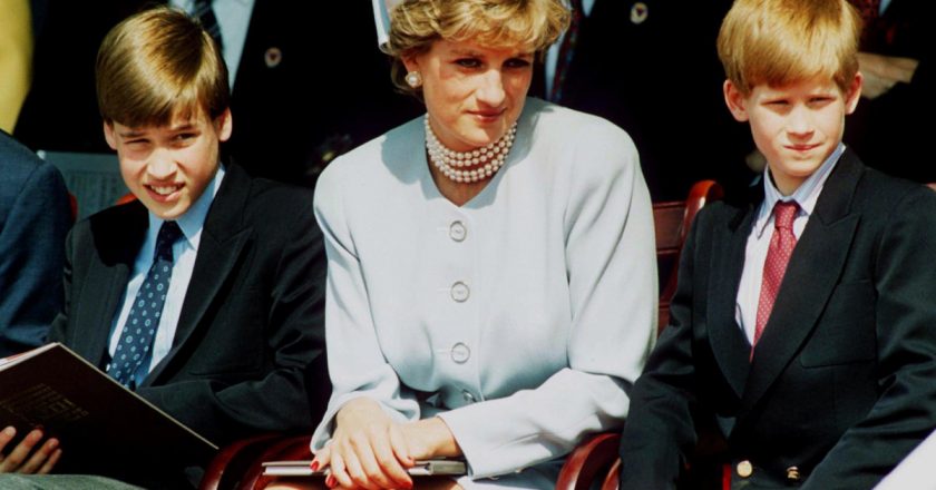 Prince William and Prince Harry will be at odds over Diana photo, expert claims – Page Six