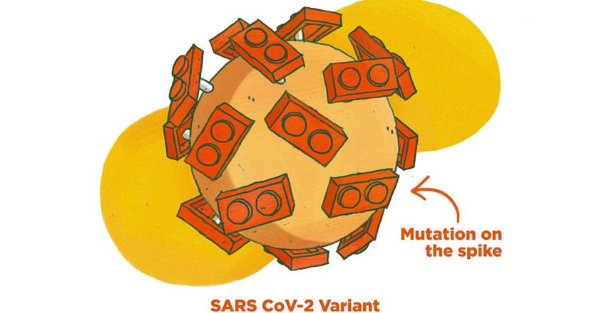 An Illustrated Guide To Coronavirus Variants That Worry Scientists : Goats and Soda – NPR