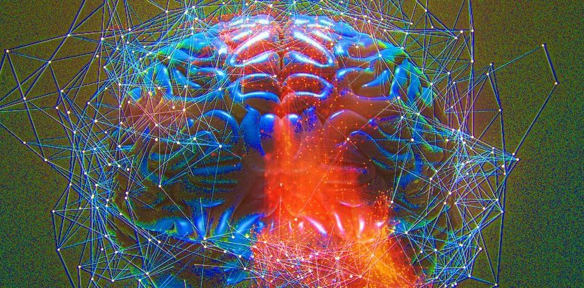 LSD Lets The Brain Free Itself From Divisions Dictated by Anatomy, Scientists Find – ScienceAlert