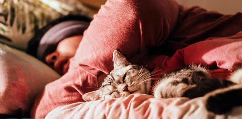 There Could Be a Dramatic Hidden Impact of Not Having a Regular Bedtime, Study Shows – ScienceAlert