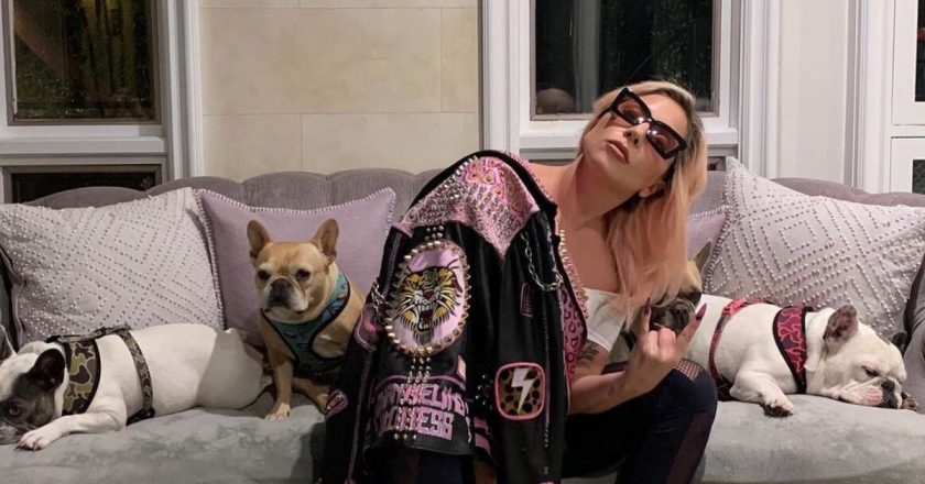 Lady Gaga dog walker reported in stable condition after shooting: What happened? – CNET