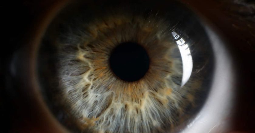 Our eyes may provide early warning signs of Alzheimer’s and Parkinson’s – The Washington Post