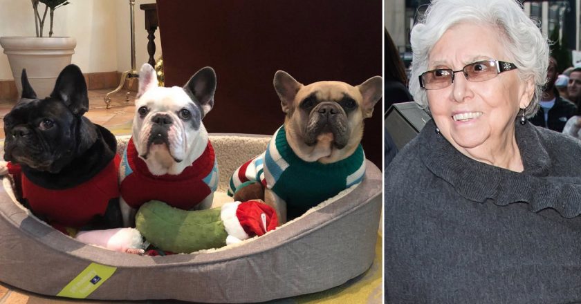 Lady Gagas grandmother thrilled that stolen dogs returned safely – New York Post