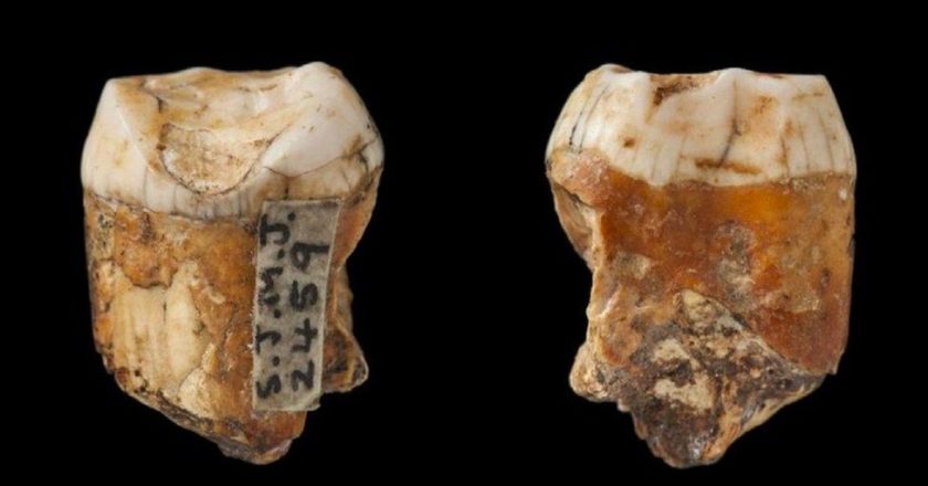 Ancient Jersey teeth find hints at Neanderthal mixing – Yahoo News