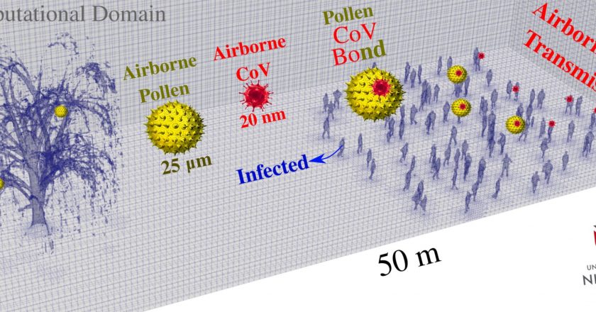 Tree Pollen Facilitates COVID-19 Virus Spread – Carries SARS-CoV-2 Particles Farther – SciTechDaily