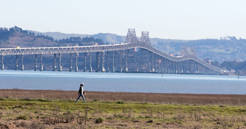 What we can learn from two Delta variant outbreaks in Marin – SFGate