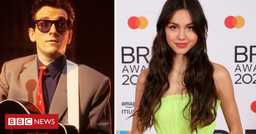 Elvis Costello defends Olivia Rodrigo over Brutal plagiarism claim – BBC News