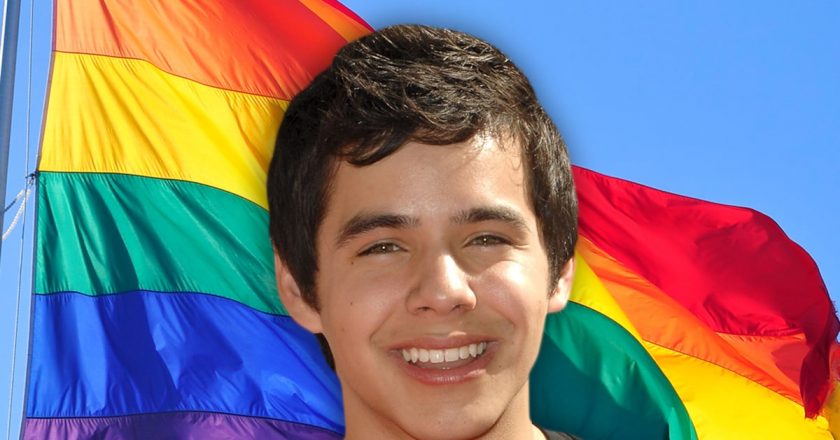 American Idols David Archuleta Comes Out as LGBT During Pride Month – TMZ