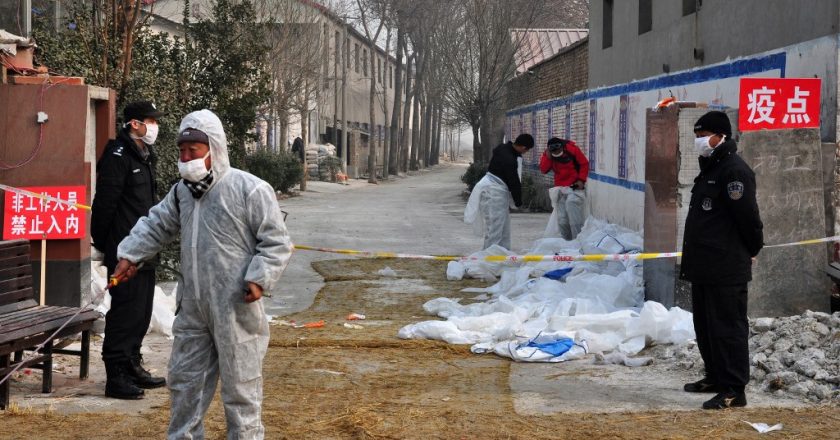 China reports first human case of H10N3 bird flu – Al Jazeera English