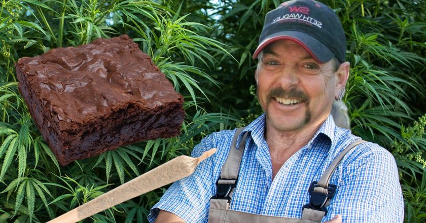 Joe Exotic Launching Own Cannabis Line Straight Outta Prison – TMZ