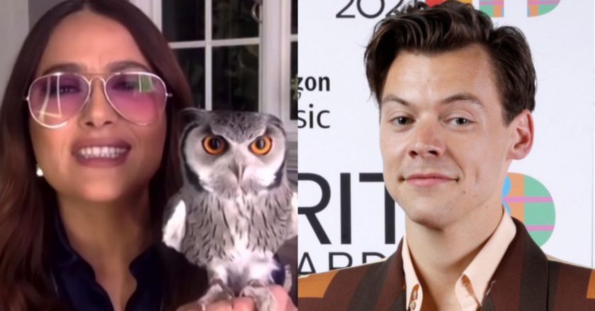 Salma Hayeks Story About Pet Owl And Harry Styles Has Marvel Fans Going In One Direction – HuffPost