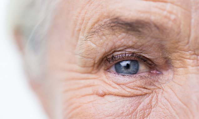 Humans cannot cheat ageing and death, scientists say – Daily Mail