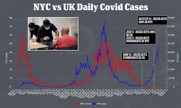 Delta variant could make up ALL new cases in NYC by August – Daily Mail