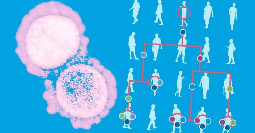 Covid surge creates fertile grounds for more dangerous new variants – Financial Times