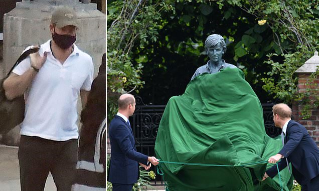 Prince Williams staff planted stories about Harrys mental health, author claims – Daily Mail