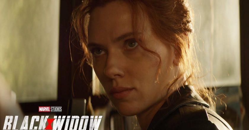 Stephen Dorff, Star of “Blade”, Calls “Black Widow” Embarrassing for Scarlett Johansson – wdwnt.com