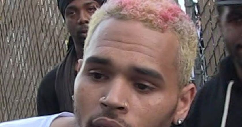 Chris Brown Sued by Housekeeper Claiming Vicious Dog Attack – TMZ