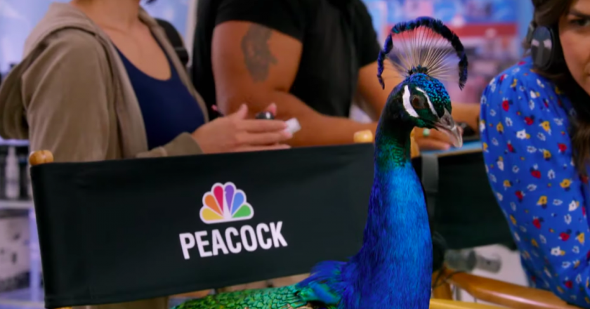 Universal and Dreamworks Movies Will Fly to Peacock After Theatrical Releases – Gizmodo