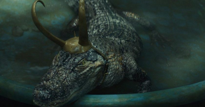 Alligator Loki: Everything We Know About Marvels Next Breakout Superstar – Gizmodo