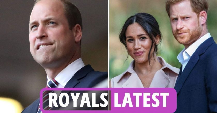 Royal family news – William ‘dreading what Prince Harry & Meghan Markle will do next’ as Duke ‘continually… – The US Sun