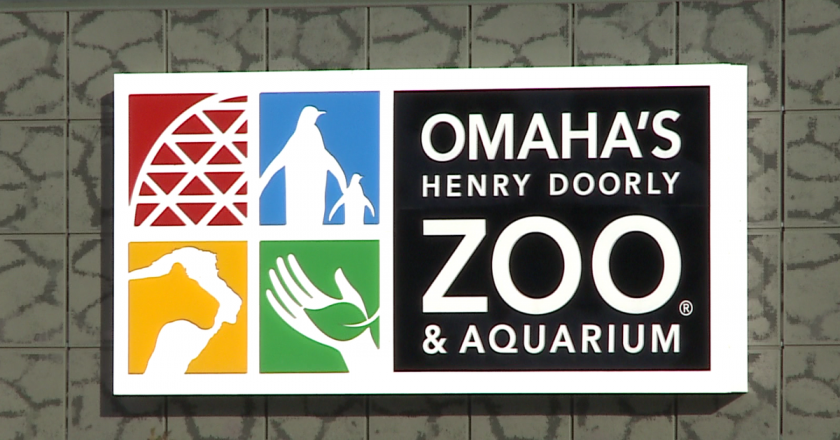 Rabid bat found in Henry Doorly Zoo Aquariaum;186 people told to get rabies shot – KETV Omaha