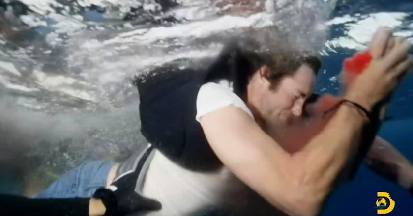 Dangerous Jackass stunt for Shark Week ends with bloody shark bite – Yahoo Entertainment