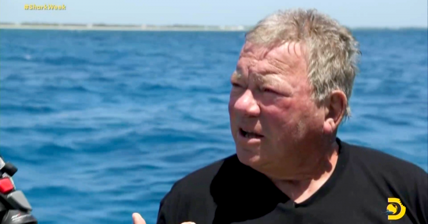 90-year-old William Shatner conquers his fear of sharks by swimming with them – Yahoo Entertainment