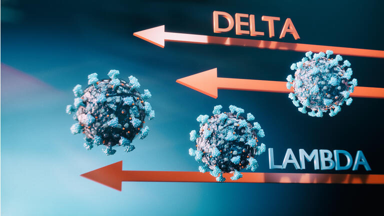 COVID-19 Delta variant is linked to higher risk of hospitalizations – WHO – Seeking Alpha