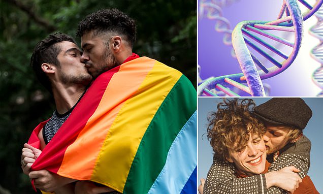 Homosexuality: Genes linked to same-sex behaviour are also found in straight people, study claims – Daily Mail