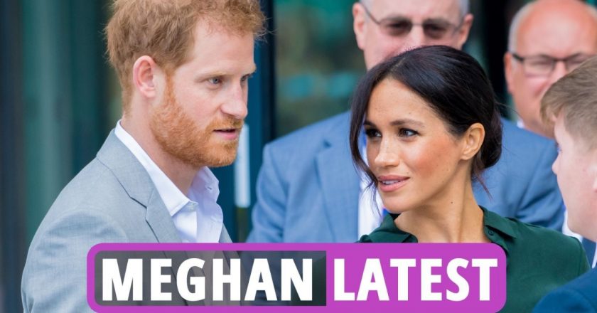 Meghan Markle latest news: Harry & Duchess ‘plot MEGABUCKS return to work’ after ‘signing deals’ on Lilibet… – The US Sun