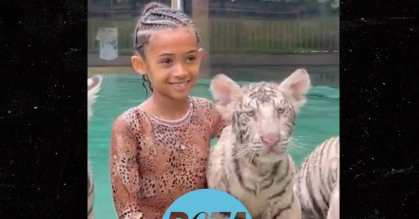 PETA Wants Doc Antle Investigated Over Chris Browns Daughters Elephant Ride – TMZ