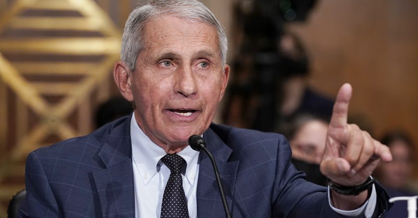 Associated Press ripped after Fauci touts monoclonal antibodies: Isn’t this the thing Ron DeSantis promoted? – Fox News