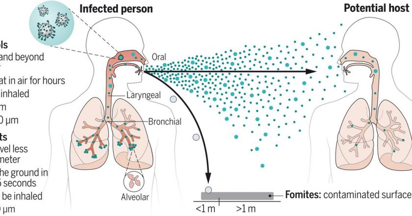 Airborne transmission of respiratory viruses – Science Magazine