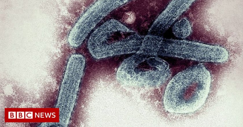 Marburg virus: Man who died in Guinea found to have disease – BBC News