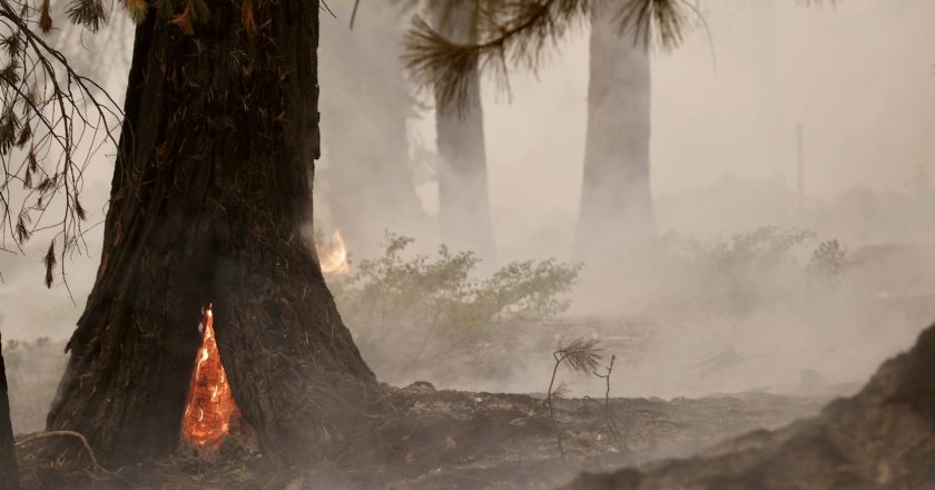 This is a very dangerous combination: New study says wildfire smoke linked to increased covid cases, deaths – The Washington Post