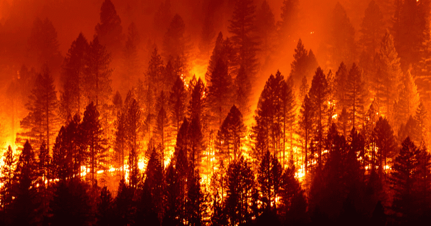 Some COVID deaths are linked to Western wildfires, study shows – Fox News