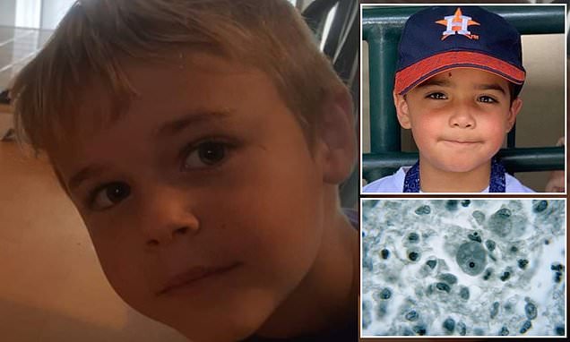 Seven-year-old boy dies after contracting rare brain-eating parasite at California lake – Daily Mail