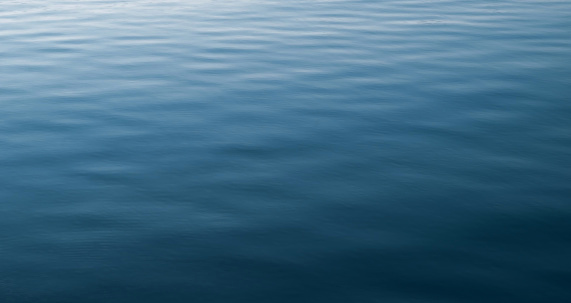 Boy dies from brain-eating amoeba after swim in California lake – KRON4