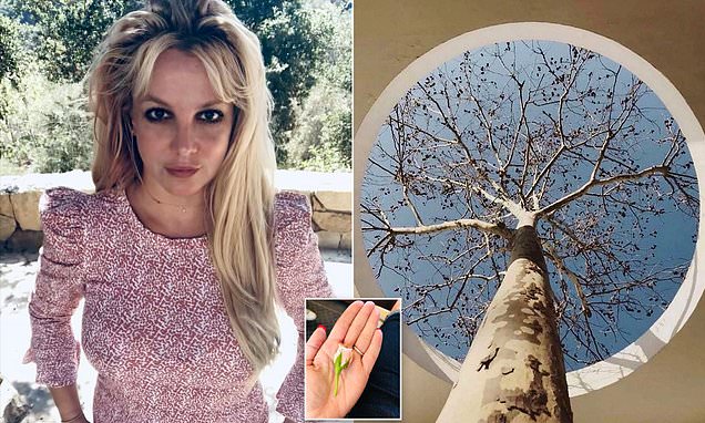 Britney Spears says she still has a lot of healing to do but has things to celebrate in my life – Daily Mail