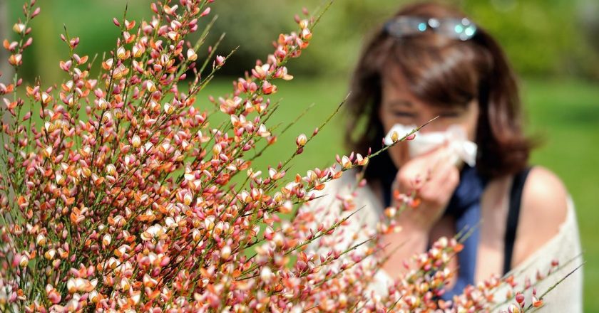 Do Allergies Raise Risk of Mental Illness? New Study Finds No Causal Link – Gizmodo